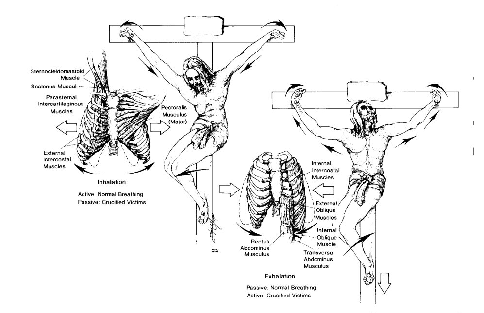 Respirations during crucifixion (Click to Enlarge)